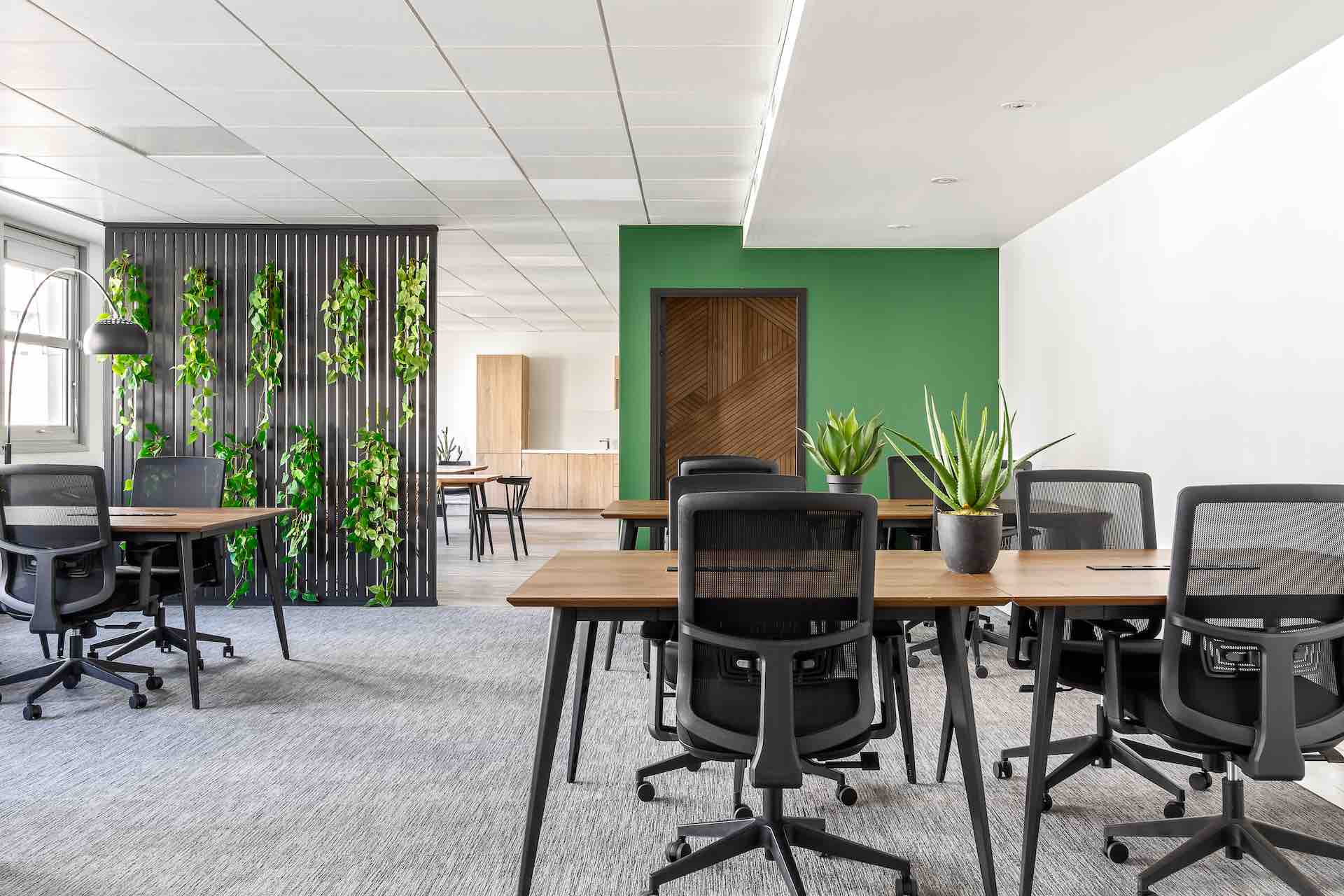 Mymood rénovation et aménagement de bureaux inspiration green palette de couleur